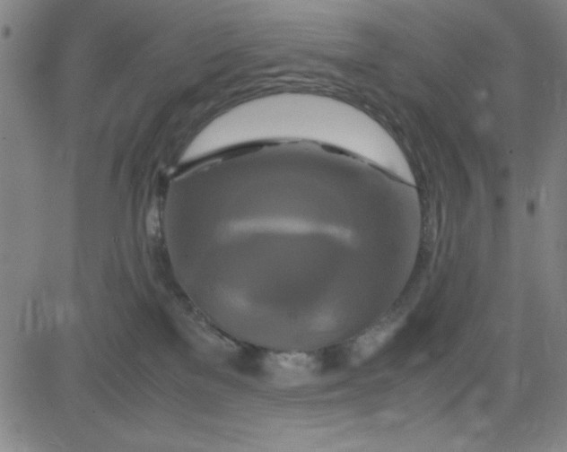 X0000081490137200702021932