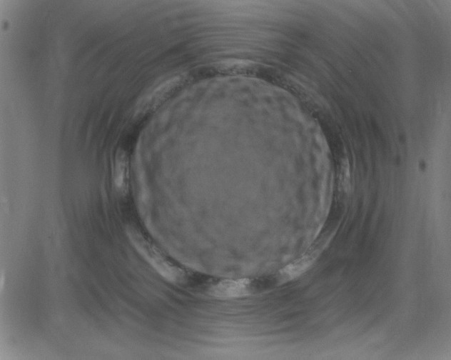 X0000081490138200702021932