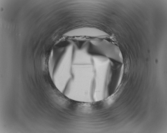 X0000081490140200702021932