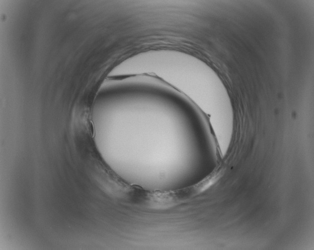 X0000081490141200702021932