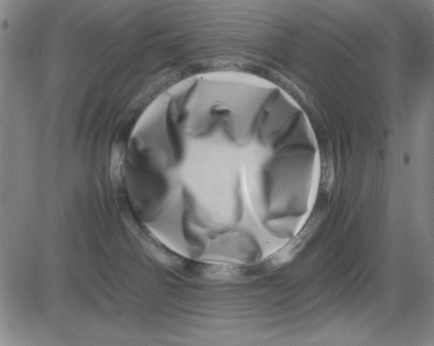 X0000081490142200702021932