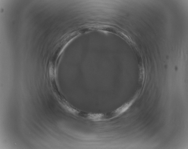 X0000081490143200702021932