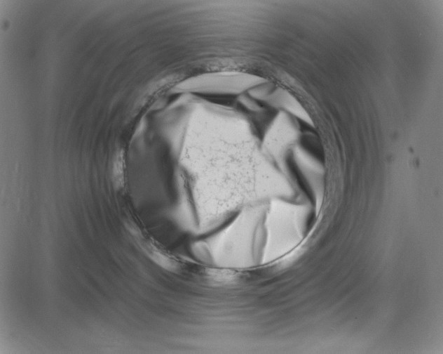 X0000081490144200702021932