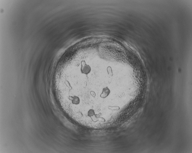 X0000081490145200702021931