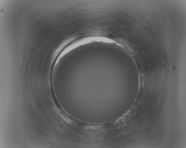 X0000081490147200702021931