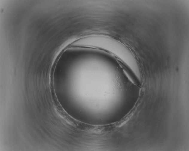 X0000081490148200702021931