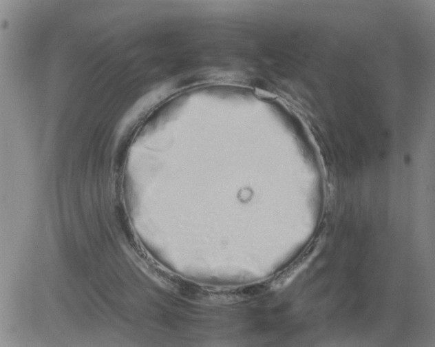 X0000081490149200702021931