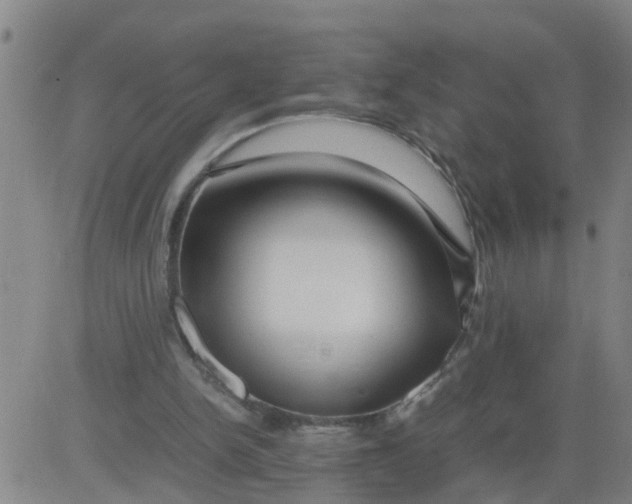 X0000081490150200702021931