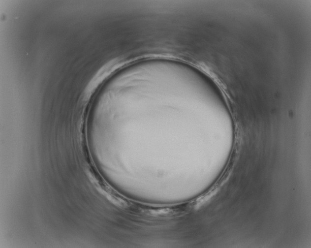 X0000081490151200702021931