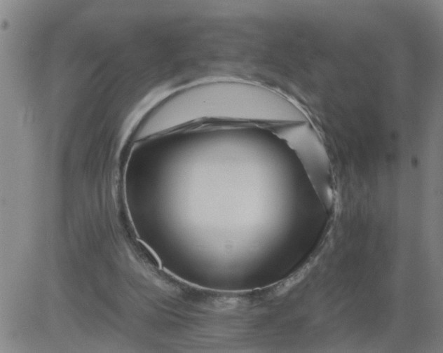 X0000081490152200702021931