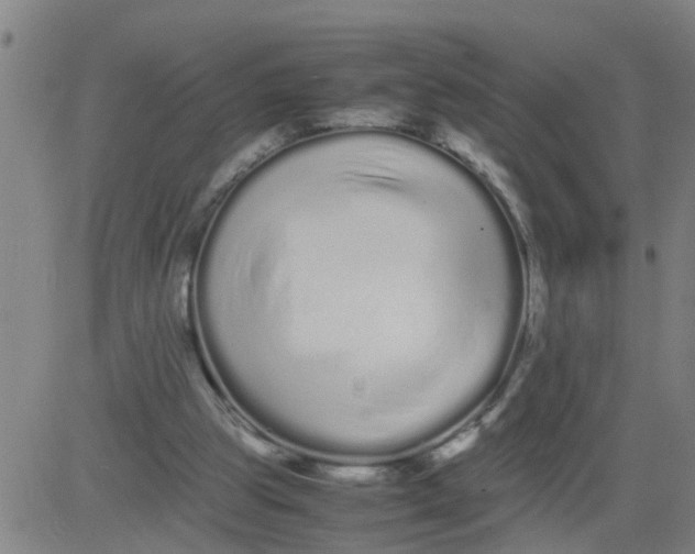 X0000081490153200702021931