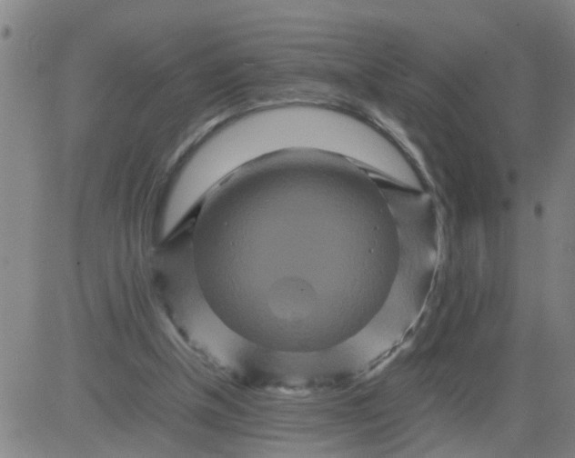 X0000081490154200702021931