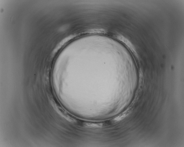 X0000081490155200702021931