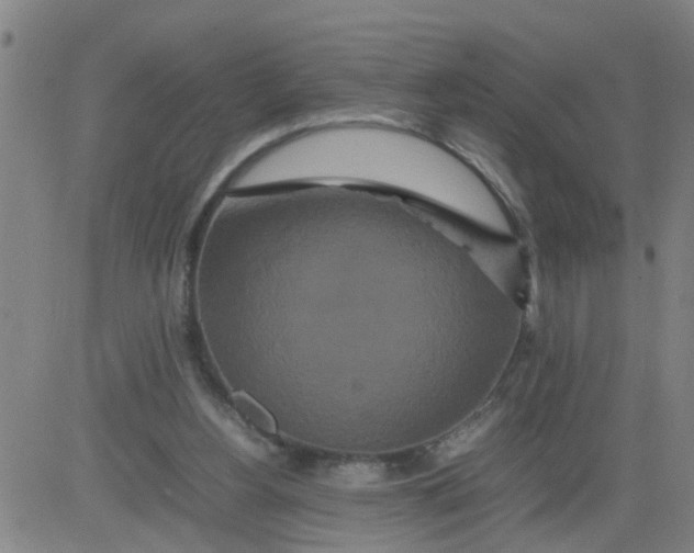 X0000081490156200702021931