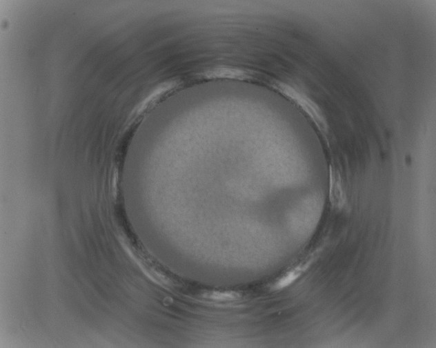 X0000081490157200702021931