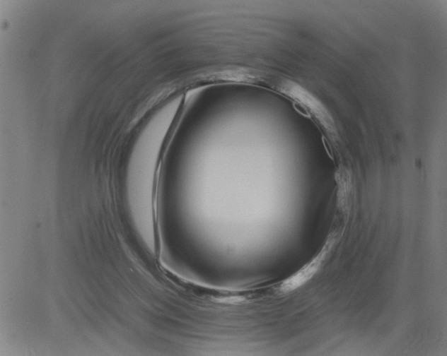 X0000081490158200702021931