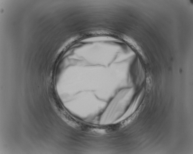 X0000081490159200702021931