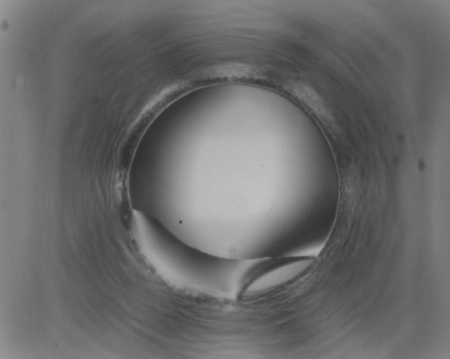 X0000081490160200702021931