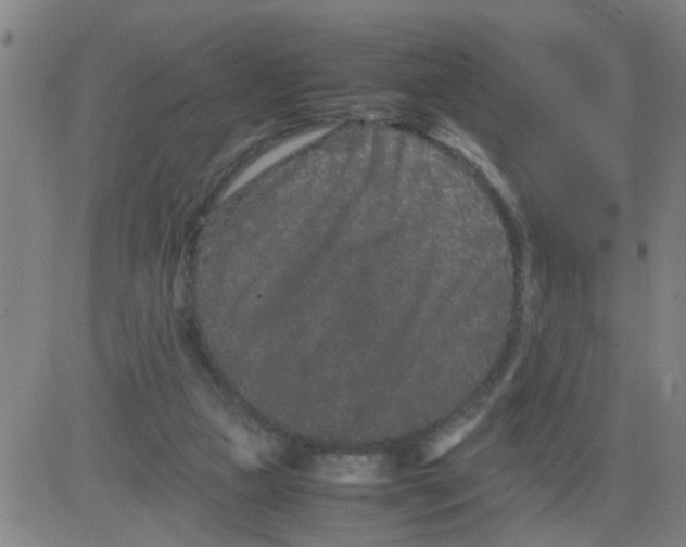 X0000081490161200702021931