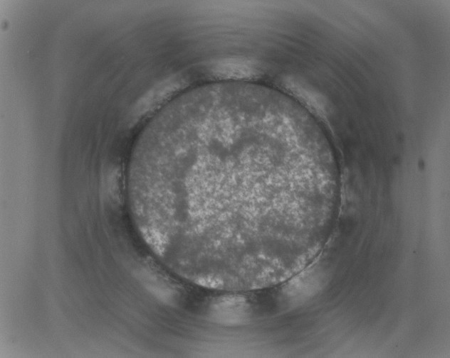 X0000081490162200702021931