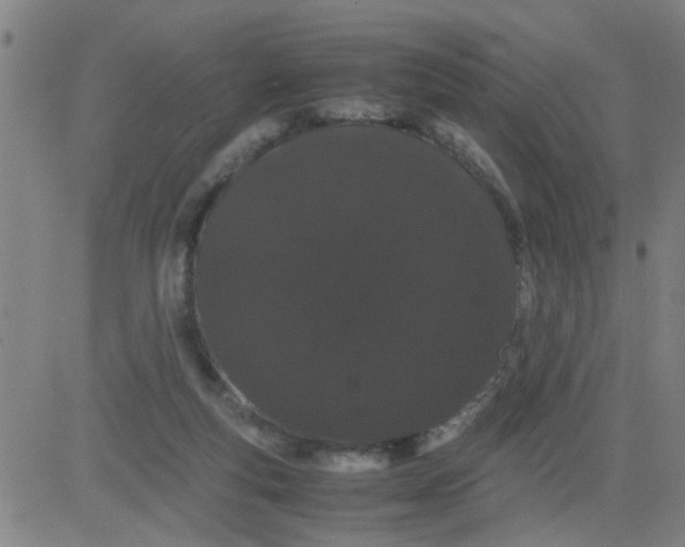 X0000081490163200702021931