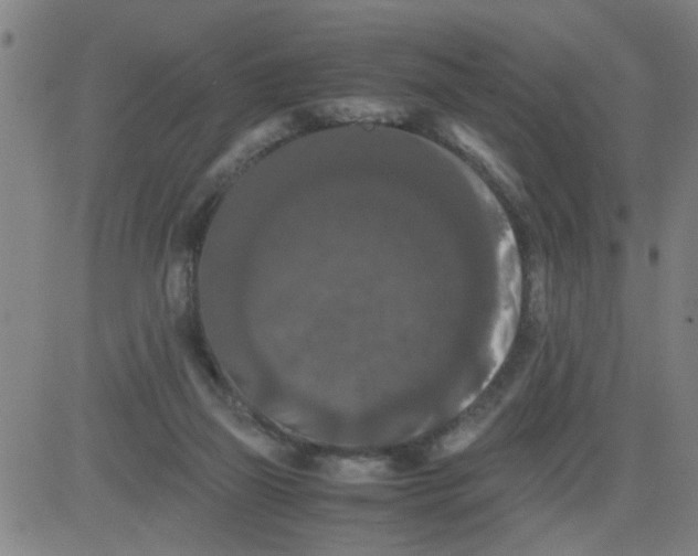 X0000081490165200702021931