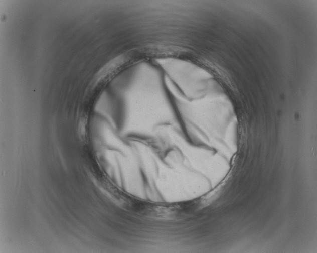 X0000081490166200702021931