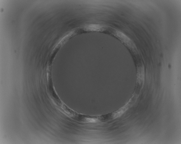 X0000081490167200702021931