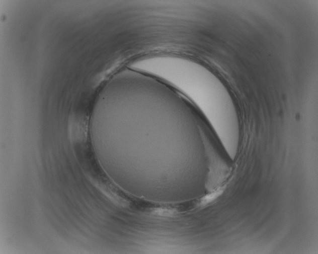 X0000081490168200702021931