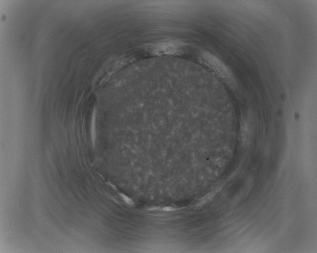 X0000081490169200702021932