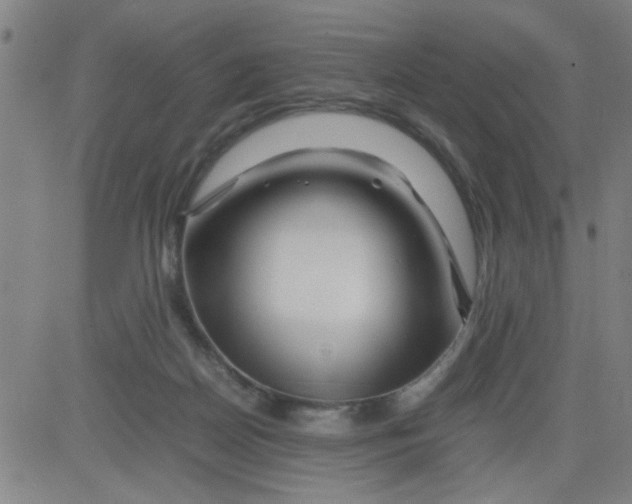 X0000081490170200702021932