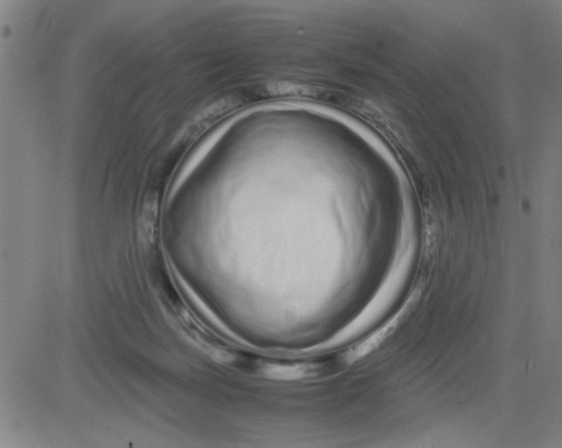 X0000081490171200702021932