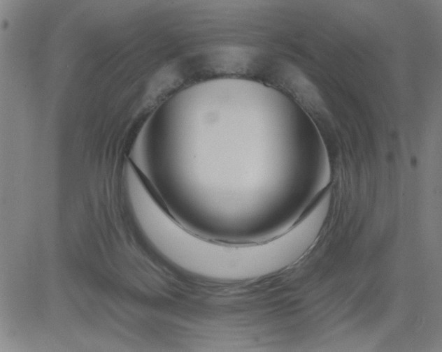 X0000081490172200702021932