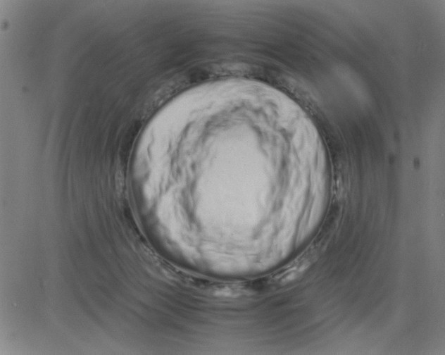 X0000081490173200702021932