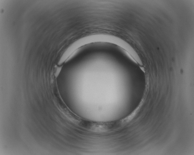 X0000081490174200702021932