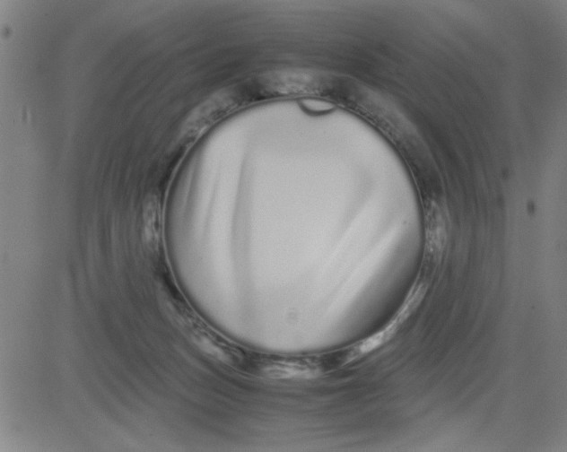 X0000081490175200702021932