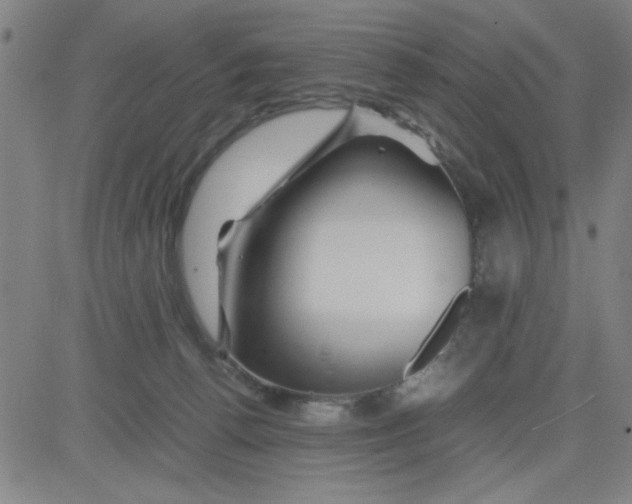 X0000081490176200702021932