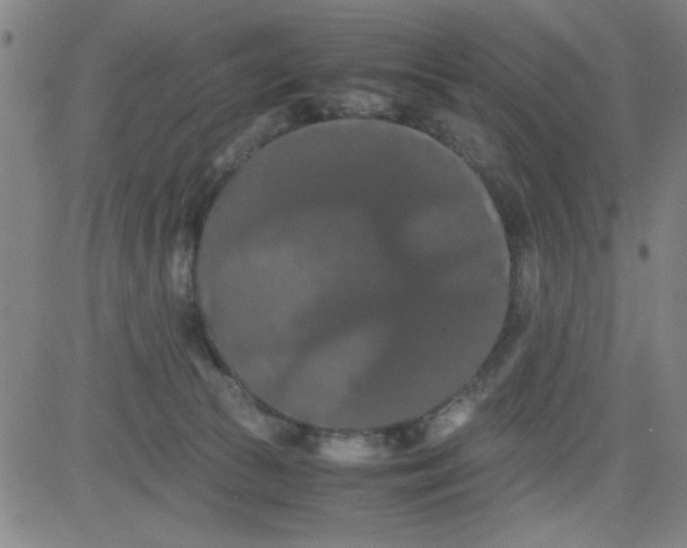 X0000081490177200702021932