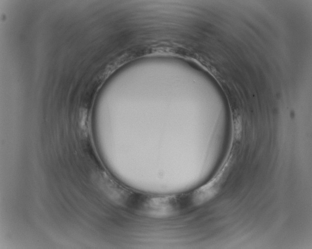 X0000081490178200702021932