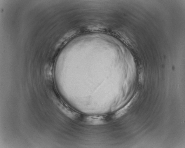 X0000081490179200702021932