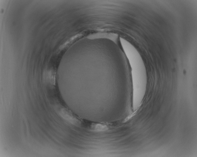 X0000081490180200702021932