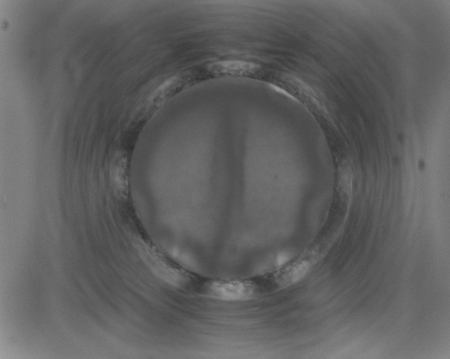 X0000081490181200702021932