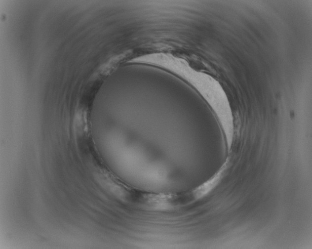 X0000081490182200702021932