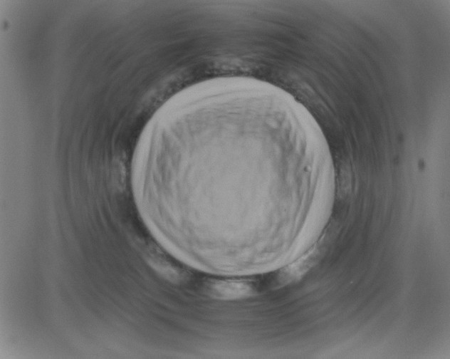 X0000081490183200702021932