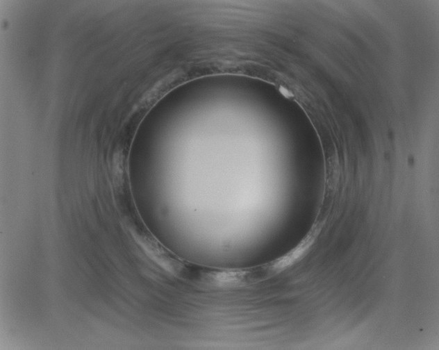 X0000081490184200702021932