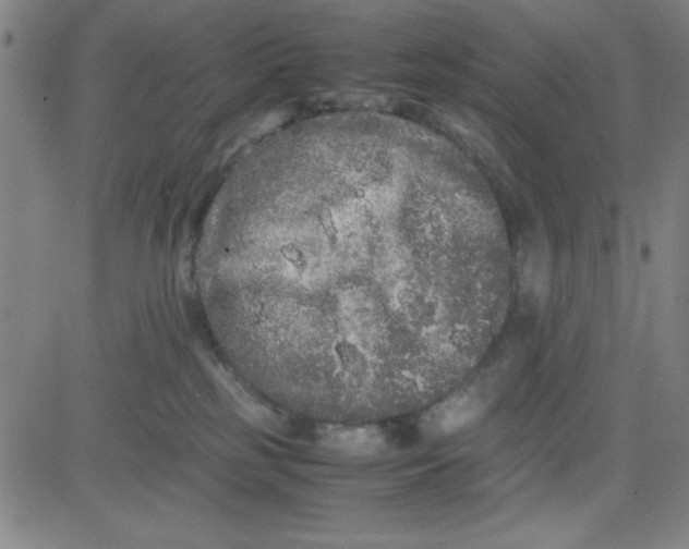 X0000081490185200702021932