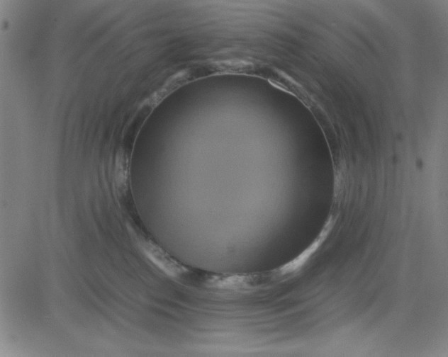 X0000081490186200702021932