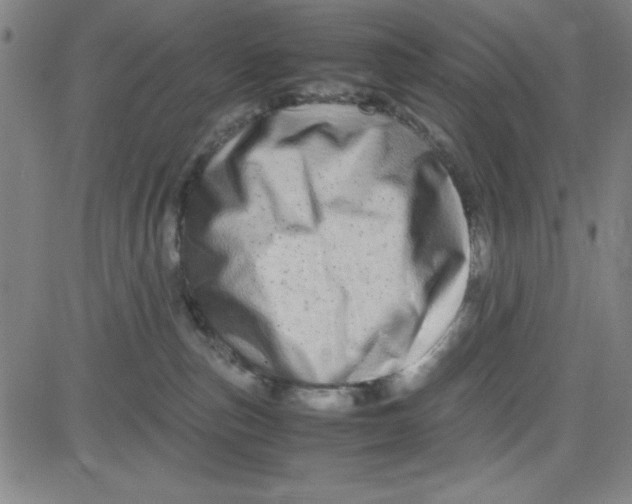 X0000081490187200702021932