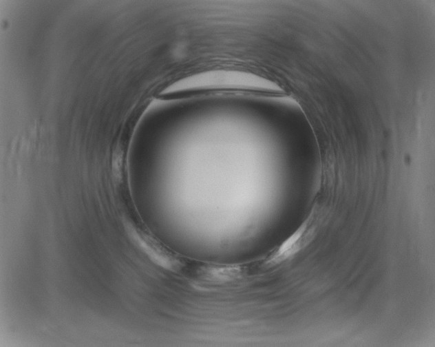 X0000081490188200702021932