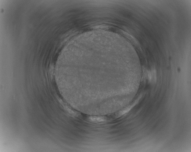 X0000081490189200702021932